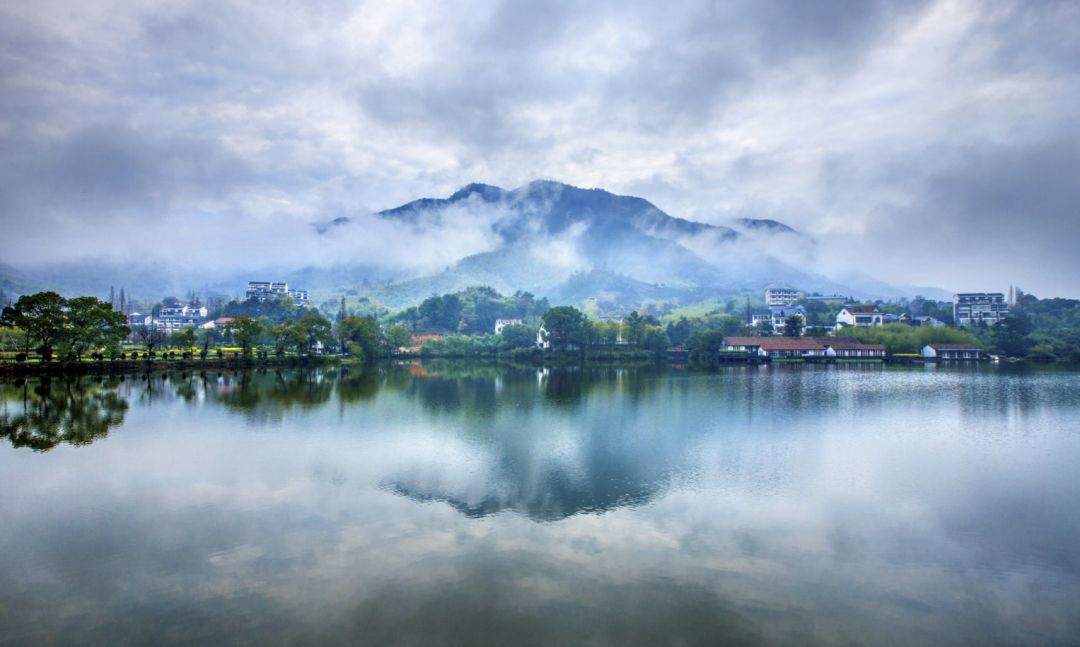 浙江盛事，嘉賓云集，觀眾熱切期待