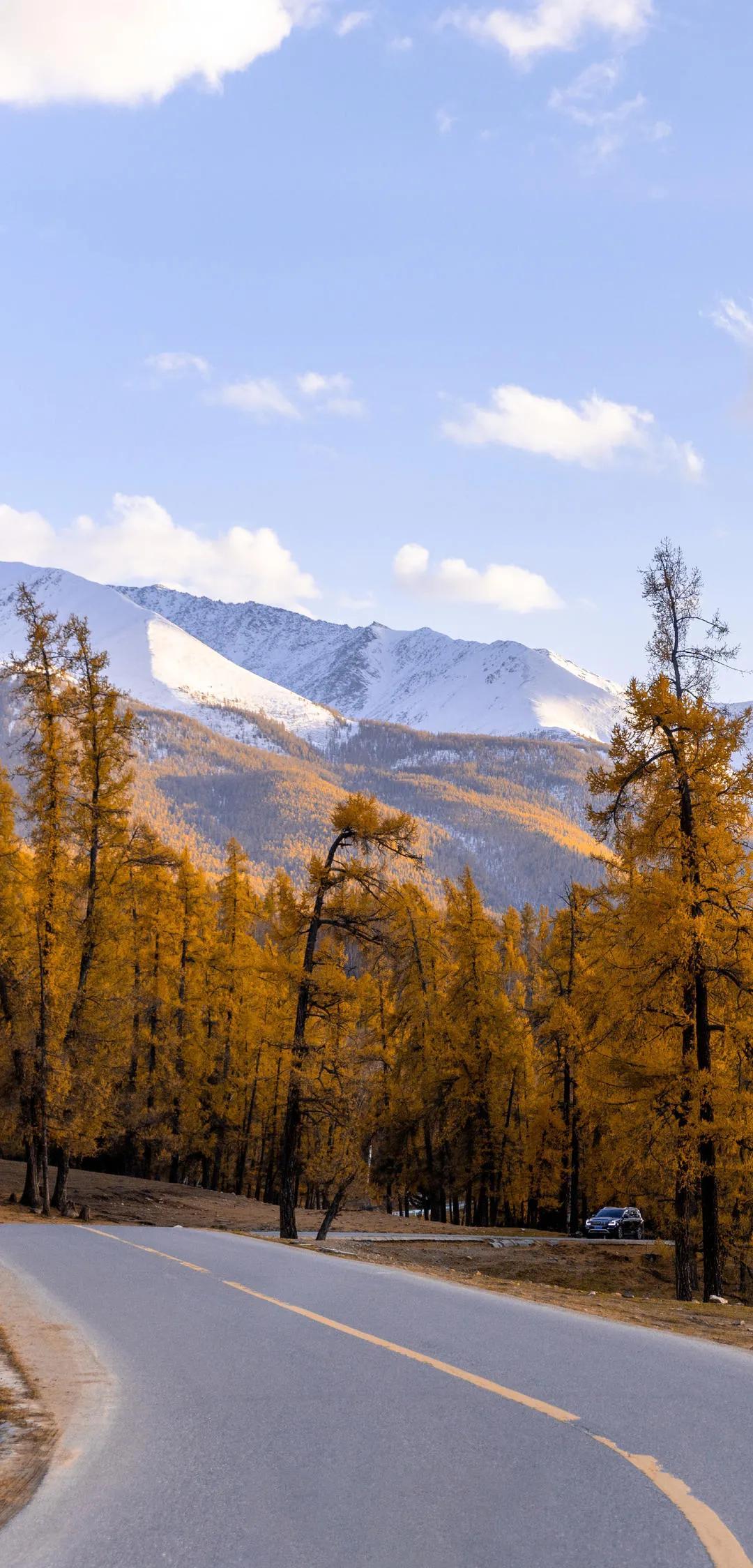 新疆，嘉賓云集，觀眾熱情如火