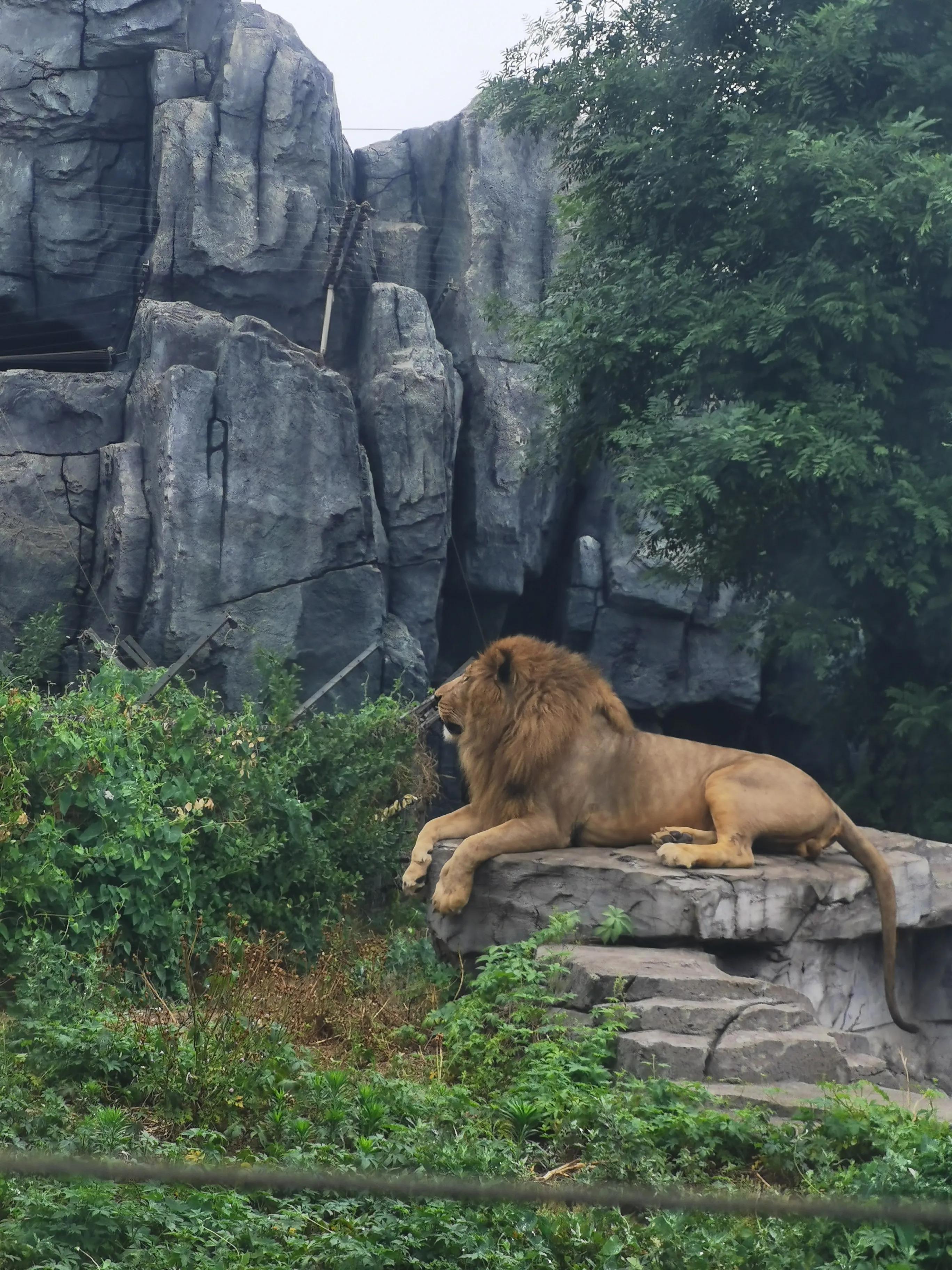 唐山的多元風貌與深度解讀